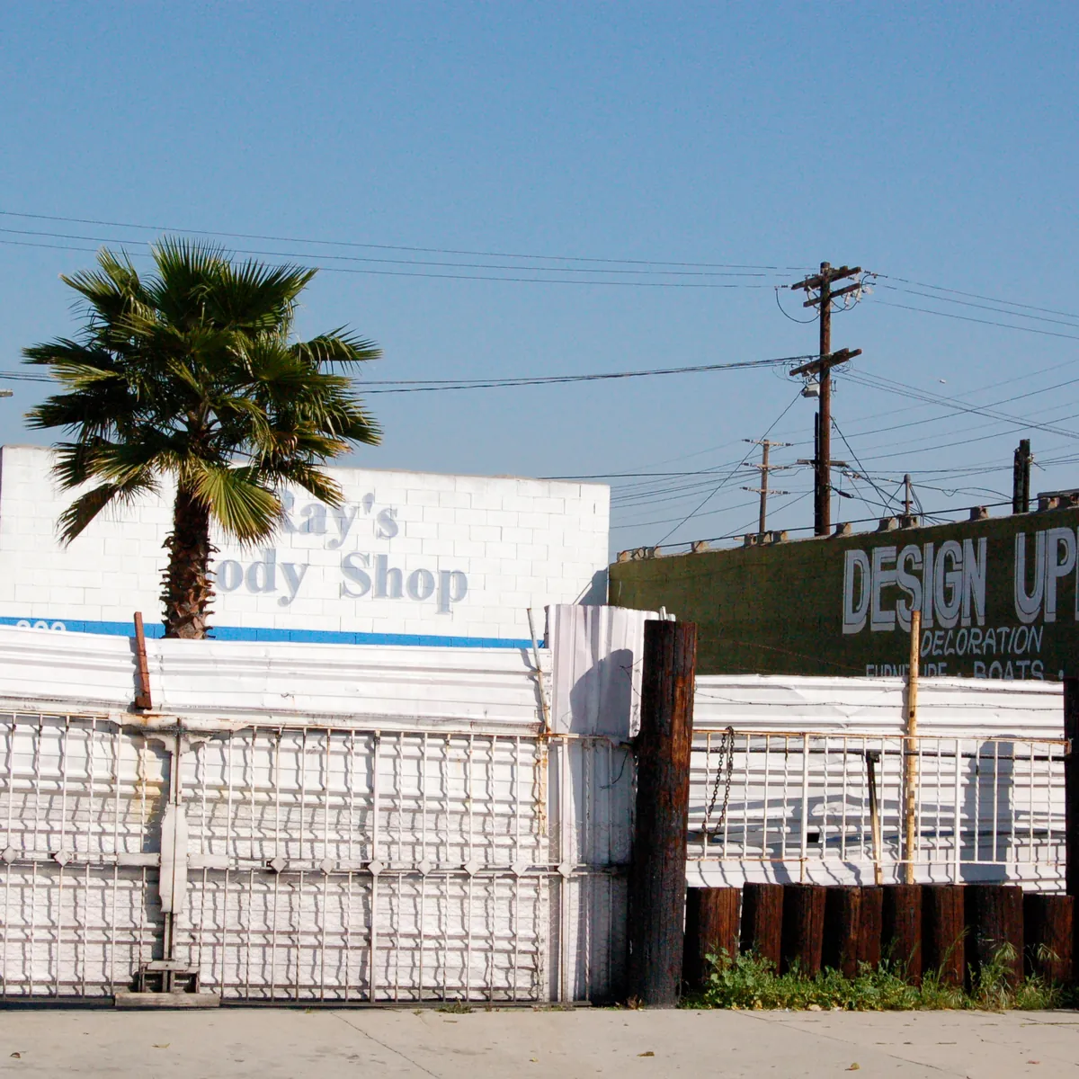 A palm tree above a white fence and a Design Upholstery sign.