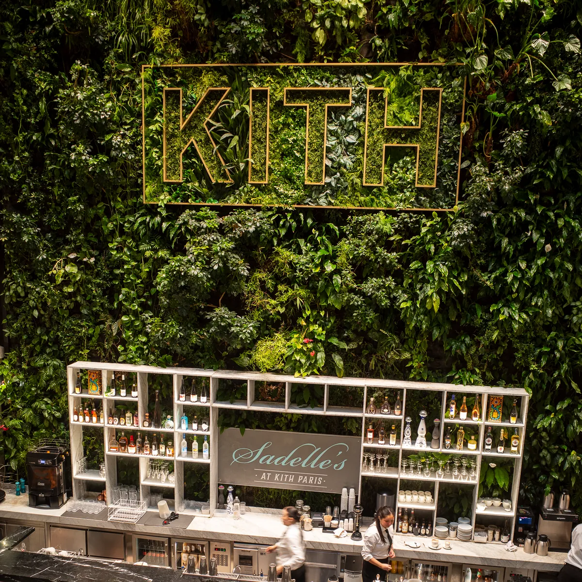 The Kith sign in a wall of plants above Sadelle's.